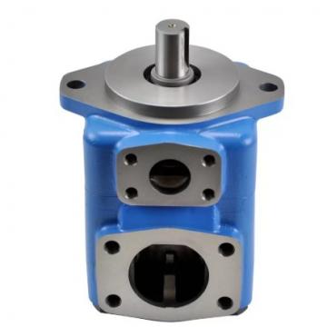 1003414 Hydraulic Vane Pump Group for Wheel Loader 924F