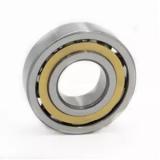 0.787 Inch | 20 Millimeter x 1.85 Inch | 47 Millimeter x 0.551 Inch | 14 Millimeter  CONSOLIDATED BEARING NF-204  Cylindrical Roller Bearings